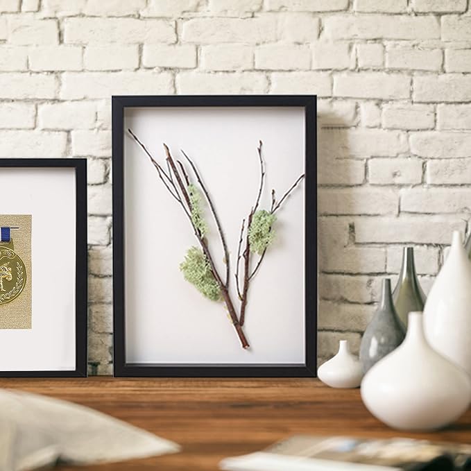 8.5x11 Shadow Box Frame Display Case - Image 3