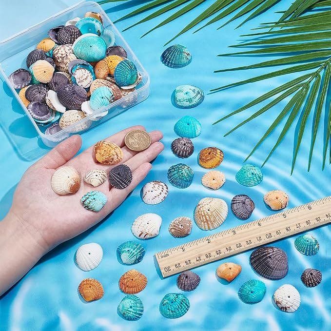 PH PandaHall 50~56pcs Dyed Natural Conch Shell Beads Drilled Tiny Scallop Sea - Image 3
