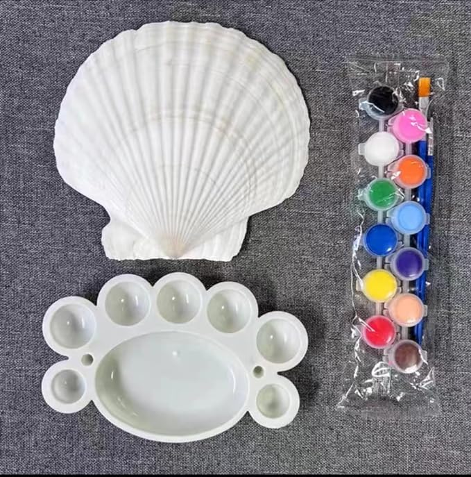 SEAJIAYI 10 PCS Large Scallop Shells 4-5 inch Natural White Scallop Shells from - Image 2