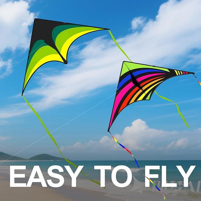 Large Single Line Beach Kite for Adults - Image 2