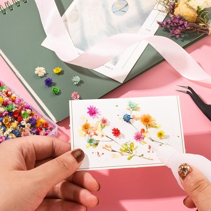 420Pcs Dried Flower for Crafts, Mini Dried Flowers for Resin, Tiny Natural Real - Image 7