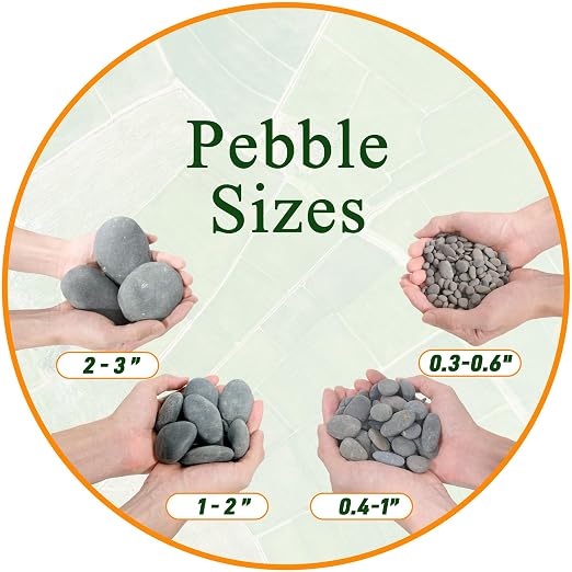 Quibbay 45 LB Mexican Beach Pebbles, 2-3 Inch Natural River Rocks, Premium - Image 2