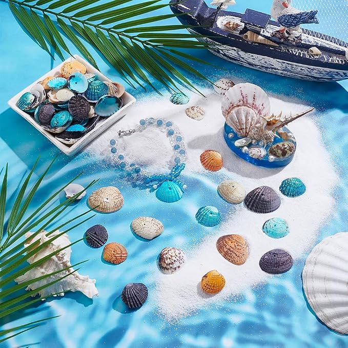 PH PandaHall 50~56pcs Dyed Natural Conch Shell Beads Drilled Tiny Scallop Sea - Image 4
