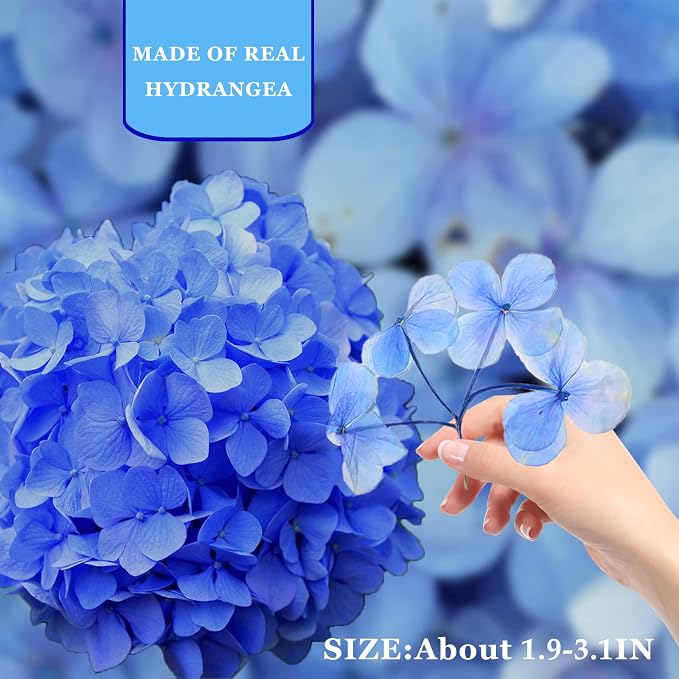 HEISENLIN Blue Dried Pressed Flowers Hydrangea - Image 2