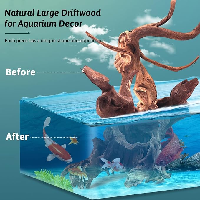 Hamiledyi 24 Pcs Small Driftwood - Image 7