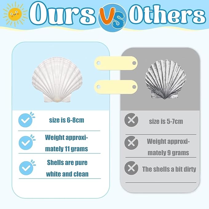 30PCS Natural Scallop Shells 2.3''-3'' White Sea Shells - Image 2