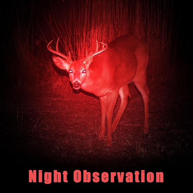 Honoson Red Light Flashlight LED Single Mode Torch 1 Mode Scalable Red Lens - Image 6