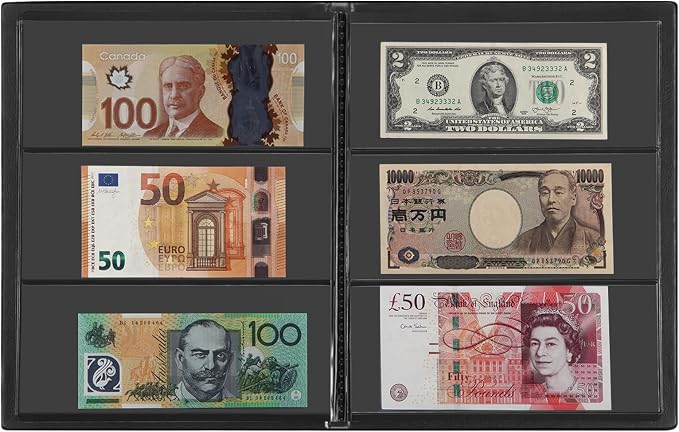 MUDOR Currency Collection Album, 60 Pockets Banknote Book - Image 3