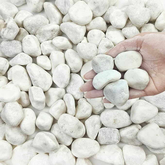 FANTIAN 5 lbs White River Rocks by FANTIAN-GardeningMakesLifeBetter