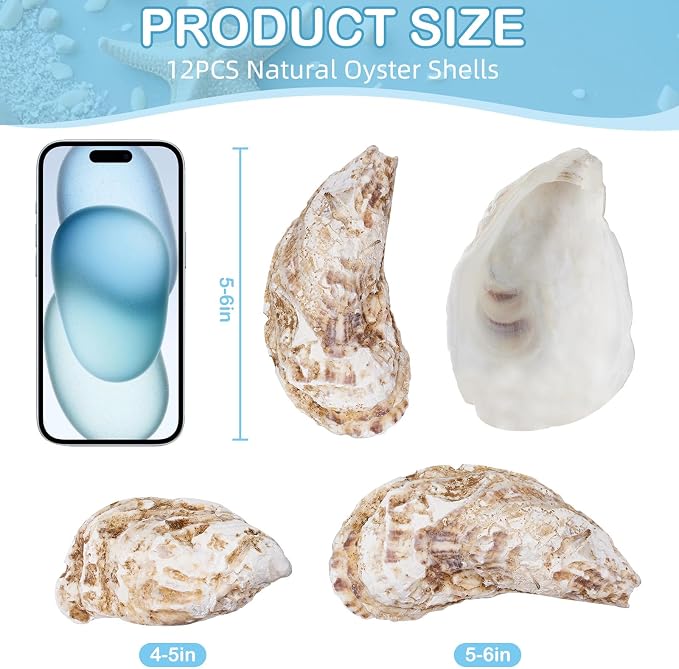 12 Pcs Natural Oyster Shells for Crafts, 5-6 inch Extra Large Seashells for - Image 6