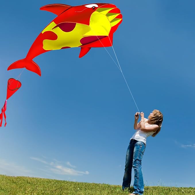 HENGDA KITE 3D Kite for Kids and Adults, Excellent Fabric and Structure - Image 6