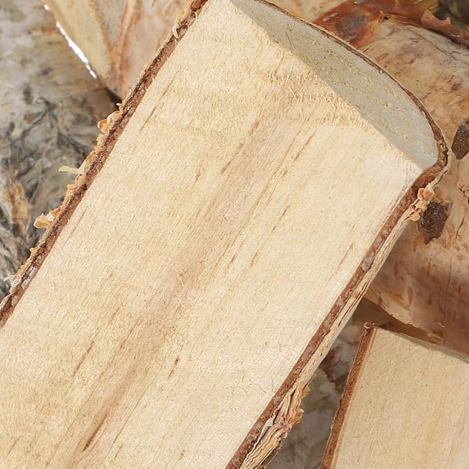 Angoily 8Pcs Birch Log, 4.5" Unfinished Natural Mini Wood Sticks Twigs Tree - Image 6