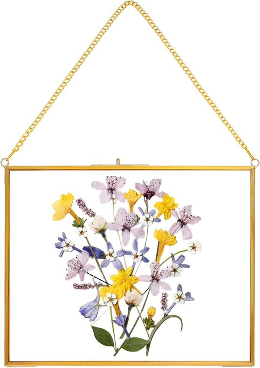 REDHUGO Hanging Pressed Flower Frame Handmade, Double Glass Picture Frame by REDHUGO