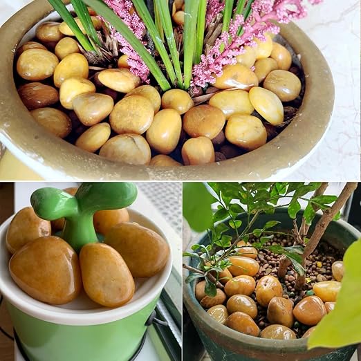 YISZM 10lbs Yellow River Rocks, 2-3 Inch Natural Pebbles - Image 3