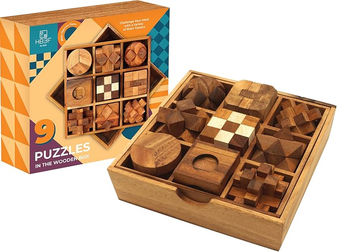 BSIRI 9 in 1 Wooden Brain Teaser Puzzles by HB3FbyBSIRI