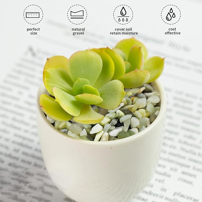 FANTIAN Jade Pebbles for Indoor Plants, 1/4 Inch Polished Green Pea Gravel - Image 4