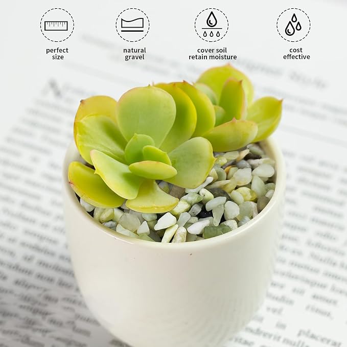 FANTIAN 2 lbs Jade Rocks for Plants Indoor, 1/4 inch Small Pebbles for Plants - Image 6
