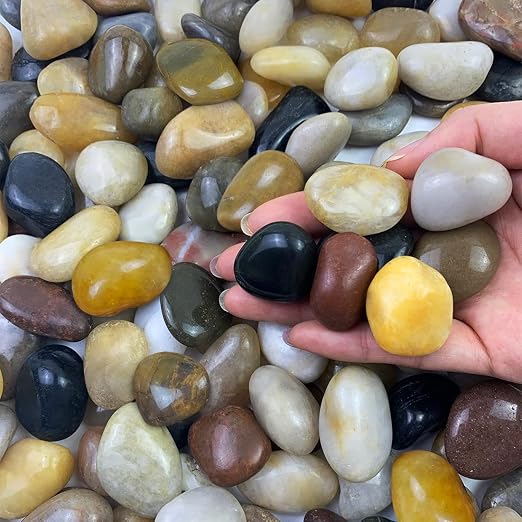 FANTIAN 10 lbs Pebbles for Indoor Plants, 0.8-1.2 inch Mixed Color Polished by FANTIAN-GardeningMakesLifeBetter