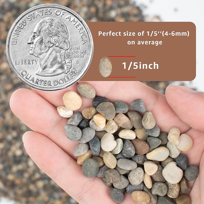 20LB Natural River Rocks, 1/4" Aquarium Gravel, Small Pebbles - Image 3
