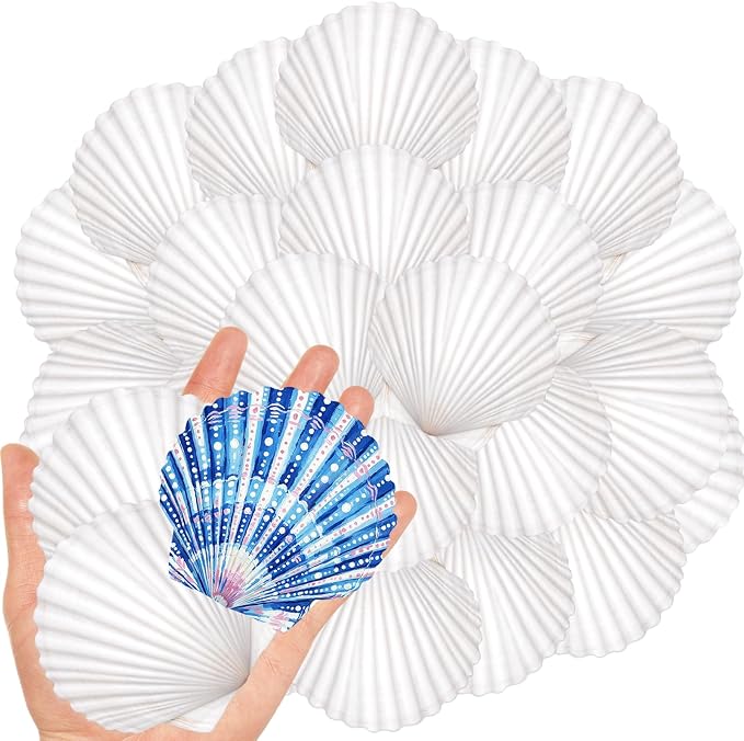 20Pcs 2-3 Inch Scallop Shells for Crafts, Natural White Scallop Shells for by LAMIVORA