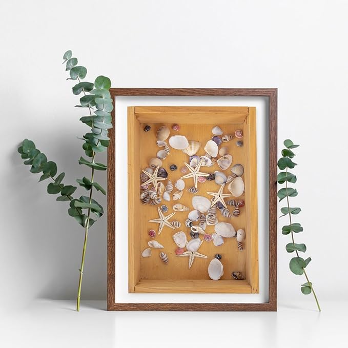 JQAQJU 1000 PCS Mini Sea Shells Small Starfish Mixed, 20 Kinds of Tiny - Image 2