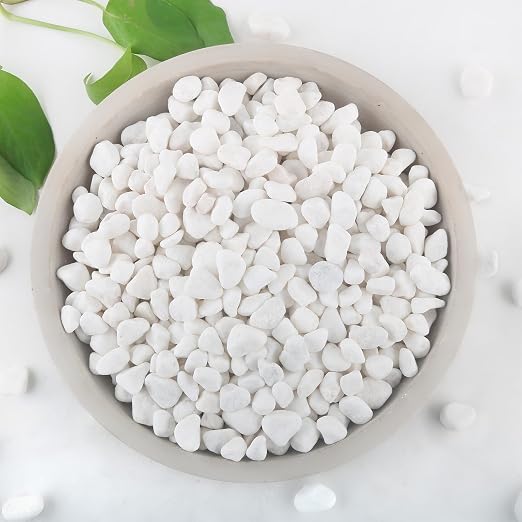 Mulctun 2Lb White Rocks for Plants, 1/4"-3/4" White Pebbles, Decorative Stones by Unknown