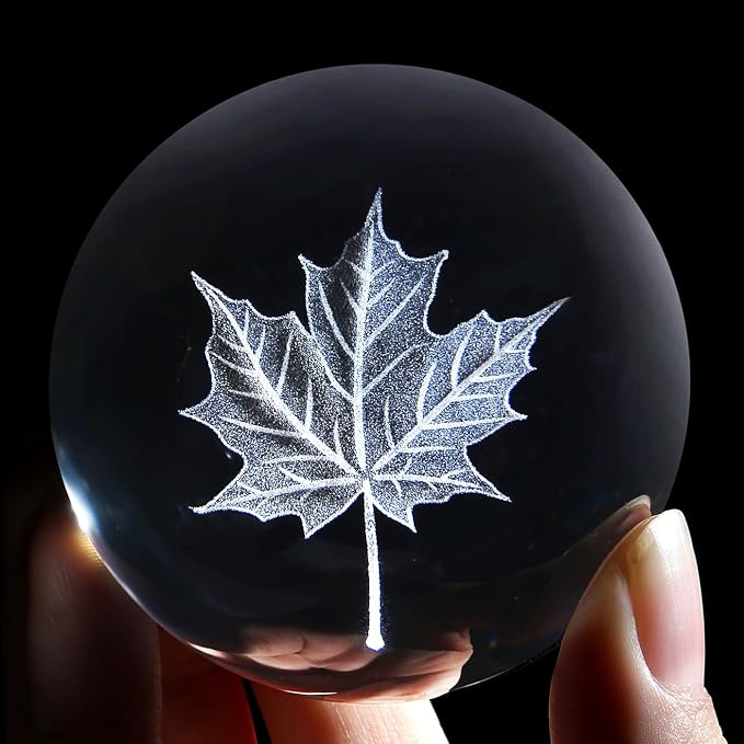 MAIBAOTA Fall Decorations for Home Fall Leaves Autumn Room Kitchen Home Decor - Image 6