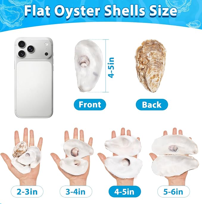 30Pcs Large Flat Oyster Shells for Crafts, 4-5 Inch Cleaned Natural Oyster - Image 5