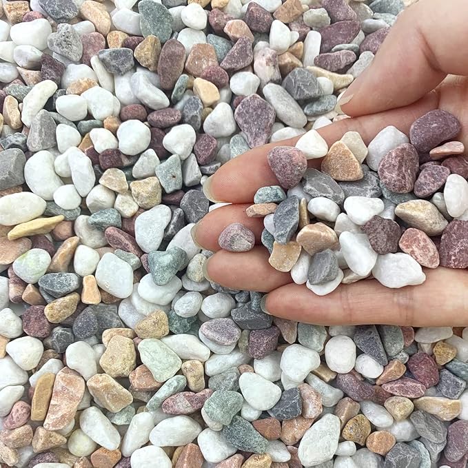FANTIAN 2 lbs Natural Mixed Color Pea Gravel Pebbles, 3/8 inch Decorative Rocks by FANTIAN-GardeningMakesLifeBetter