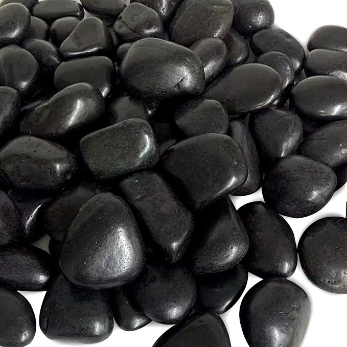 FANTIAN 5 Pounds Black Natural Decorative River Pebbles – 2-3 Inch Black by FANTIAN-GardeningMakesLifeBetter