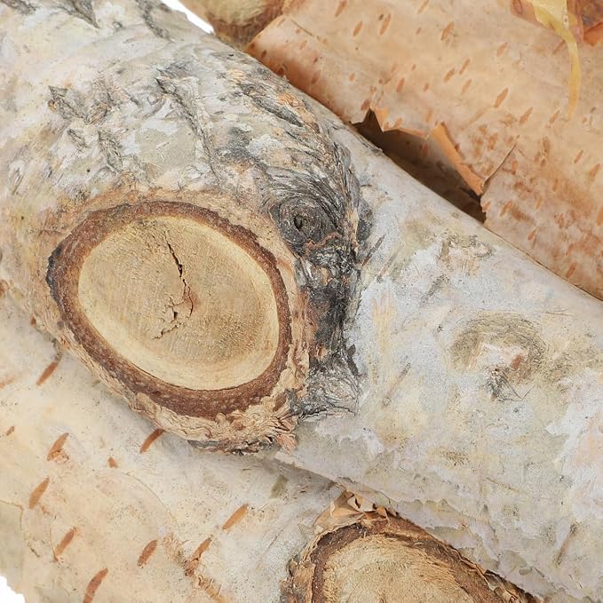 Angoily 8Pcs Birch Log, 4.5" Unfinished Natural Mini Wood Sticks Twigs Tree - Image 9