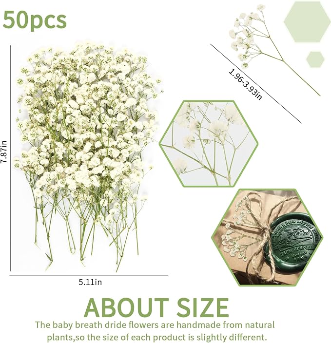 50Pcs Mini Dried Pressed White Baby's Breath Flowers Bulk - Image 2