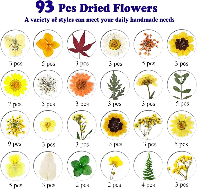 93 Pcs Yellow Dried Pressed Flowers Real Natural Leave Petals - Image 4