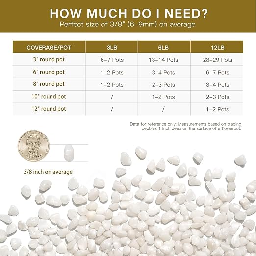 NUPICK 12 lbs Pebbles for Indoor Plants, 3/8 Inch Pea Gravel for Fish Tank - Image 6
