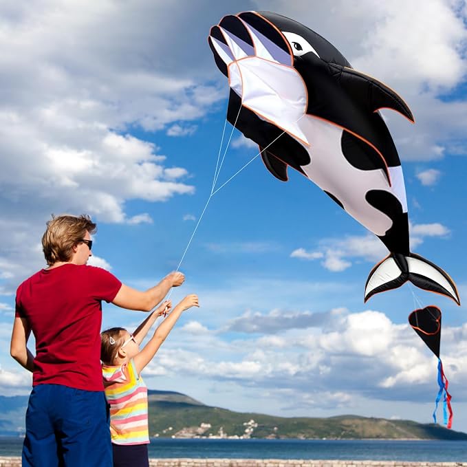 HENGDA KITE 3D Kite for Kids and Adults, Excellent Fabric and Structure - Image 6