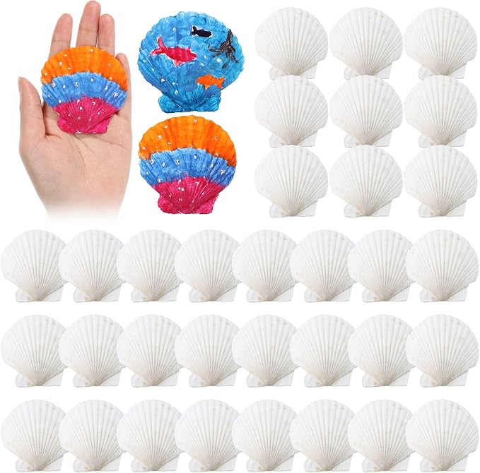 GlikCeil 50 Pcs Sea Shell for Crafting Natural Large Scallop White Oyster by GlikCeil