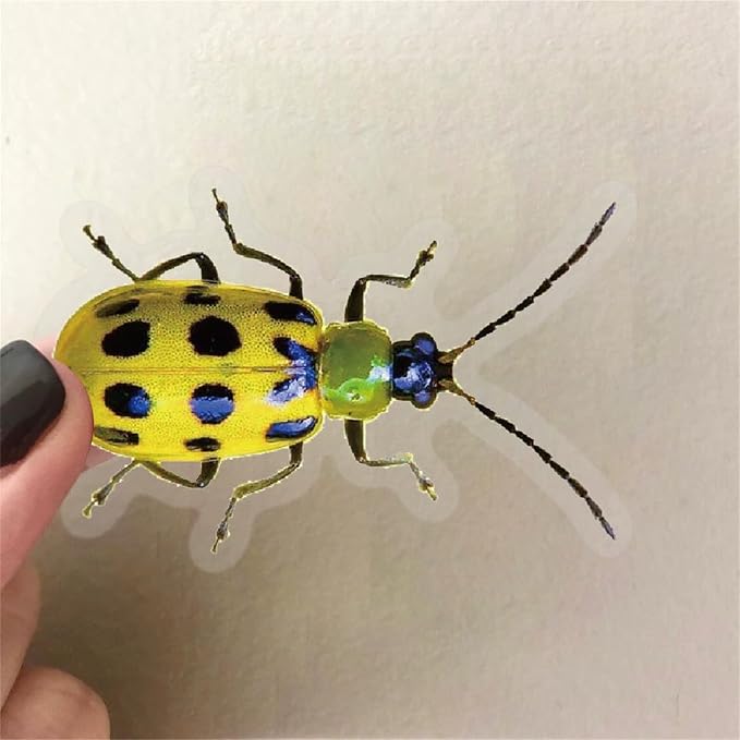 50PCS Cartoon Insects Stickers Aesthetic PET Transparent Insect Decal - Image 2