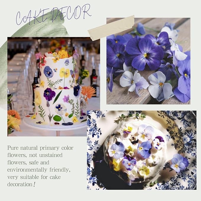 48 Pcs Mix Natural Dried Flowers - Image 4