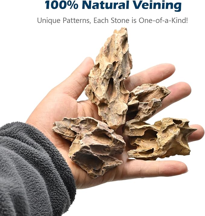 Natural Rocks Dragon Stone 1-2.5 Inches Decorative Rocks - Image 2