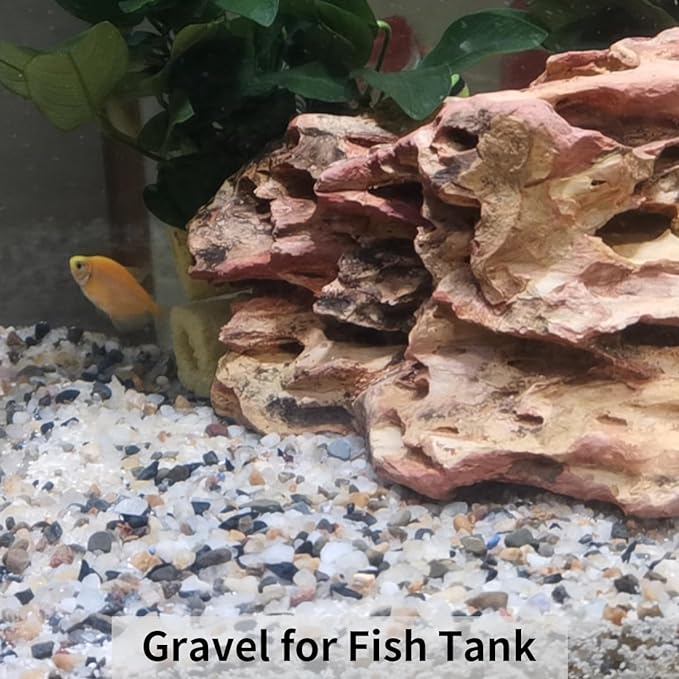 FANTIAN 5 lbs Pebbles for Plants, 3/8 Inch Tiny Pea Gravel. Decorative - Image 3