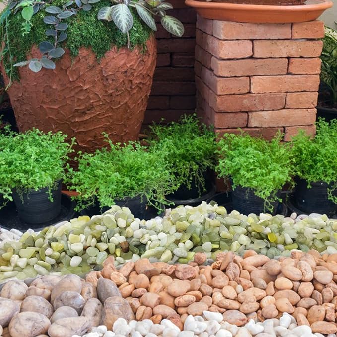YISZM 2LB Succulent and Cactus Pebbles, 1/5 Inch Jade Natural Decorative - Image 6