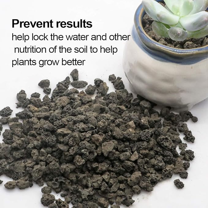 TOYPOPOR Black Horticultural Lava Rock Soil Additive - Image 5