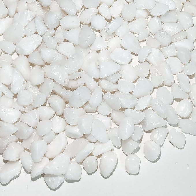 FANTIAN 10 lbs White Pebbles for Indoor Plants, 3/8 Inch Decorative White by FANTIAN-GardeningMakesLifeBetter