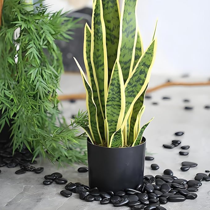 FANTIAN Black Pebbles for Indoor Plants, 3/8 inch Small Bag Stones, Decorative - Image 7