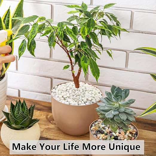 YISZM 10LB Succulent and Cactus Gravel Pebbles, 3/8 Inch Natural Decorative - Image 5