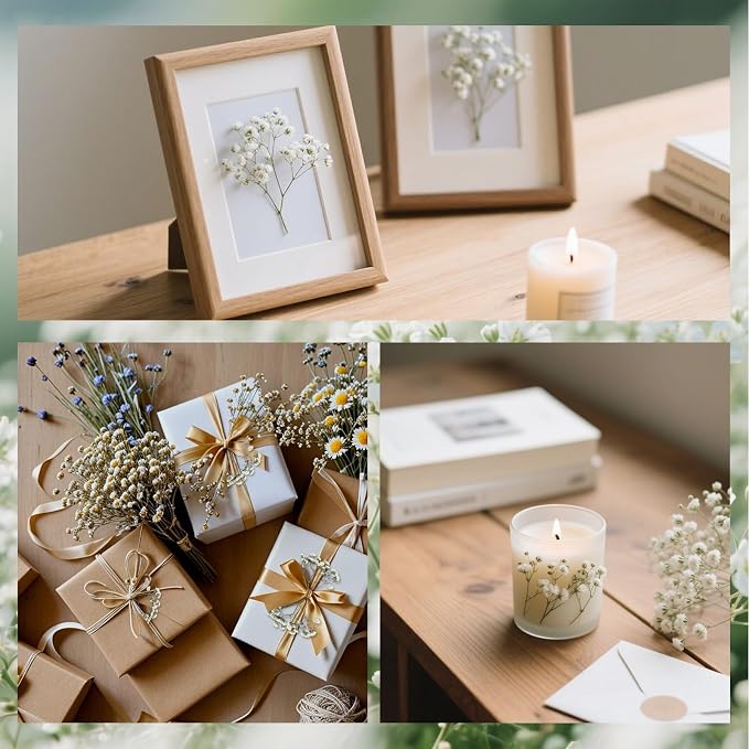 Dried Babys Breath White, Natural Pressed Flowers - Image 6