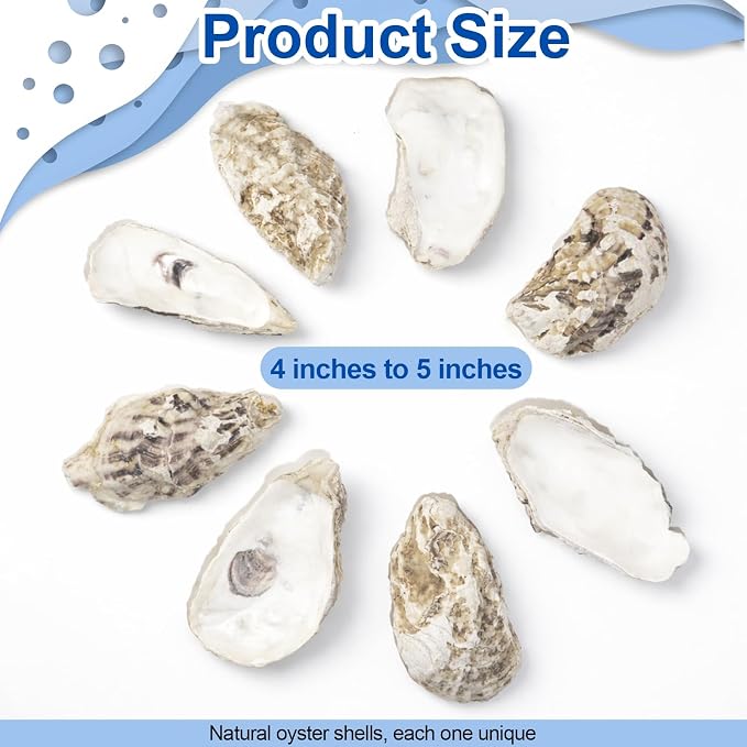 15PCS Natural Oyster Shells 4-5 in Uncarved Oyster Shells - Image 3
