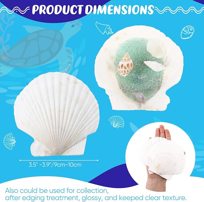 GlikCeil 50 Pcs Sea Shell for Crafting Natural Large Scallop White Oyster - Image 2