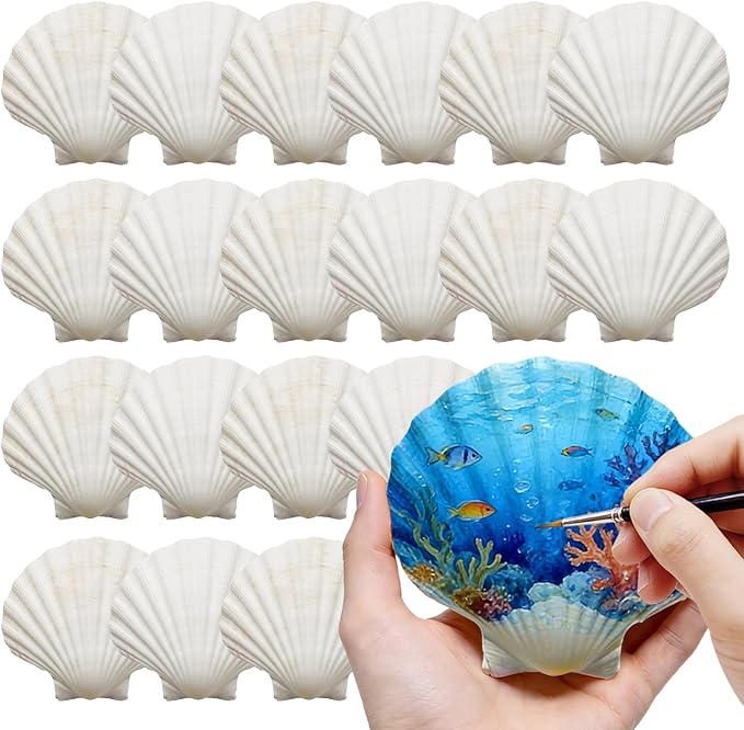 4"-5" 30 PCS Large Scallop Shells by DOODLEBEAN