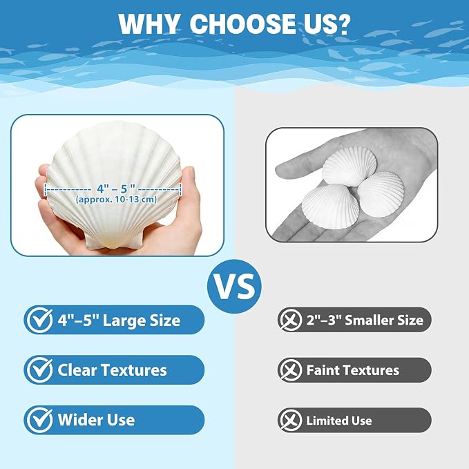 4-5 Inch Large Scallop Shells for Crafts, Ocean Themed Party Decor Supplies - Image 3